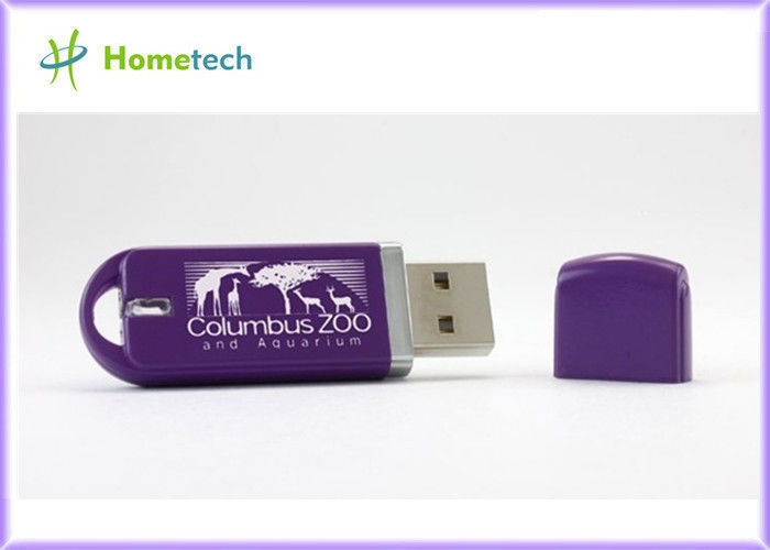 Ручки памяти USB ручки 2-4GB OEM профессиональные, пластичная вспышка USB управляют с изготовленным на заказ логосом